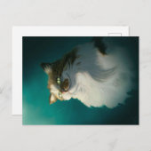 かわいいずるい猫のギフト｜誕生日のための面白い猫 シーズンポストカード (正面/裏面)