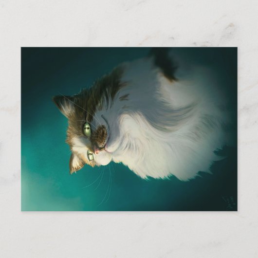 かわいいずるい猫のギフト｜誕生日のための面白い猫 シーズンポストカード (正面)