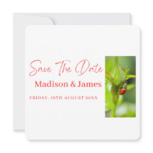 かわいいてんとう虫のスクリプト　Save the date 招待状