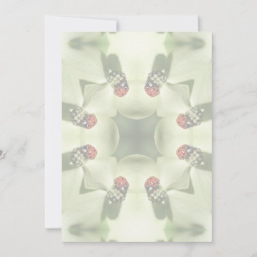 かわいいてんとう虫の自然アートパーティー 招待状 (裏面)