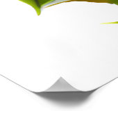 かわいいと愛らしいカワイイ赤ちゃんフクロウ ポスター (角)