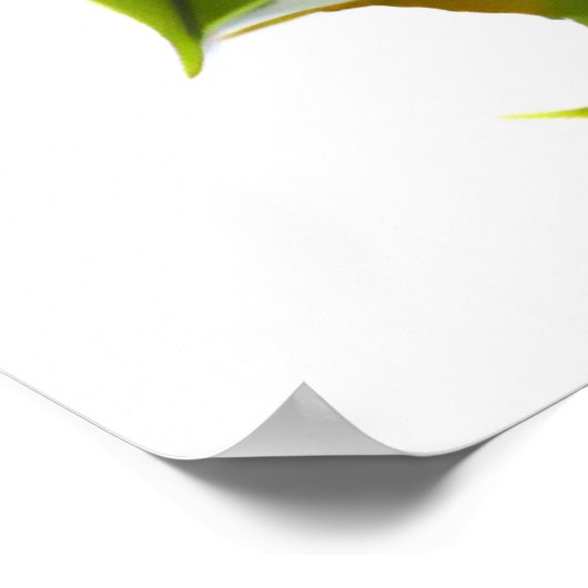 かわいいと愛らしいカワイイ赤ちゃんフクロウ ポスター (角)