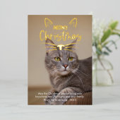 かわいいねこちゃんのクリスマス写真 箔シーズンカード (立ち正面)