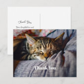 かわいいねているキジトラ猫の写真 ありがとう ポストカード (正面/裏面)