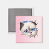 かわいいのぞきこむラグドール猫 マグネット (正面/裏面)