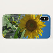 かわいいひまわりの写真 Case-Mate iPhoneケース (裏面(横))