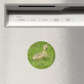 かわいいふわふわのゴスリング(カナダガチョウ) マグネット (インサイチュ (食洗機))