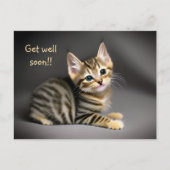 かわいいふわふわのトラ猫の赤ちゃん「早く回復してね」 ポストカード (正面)