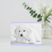 かわいいふわふわ白い子犬のポストカード ポストカード (スタンド正面)