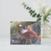 かわいいぶら下がりリス 早く治ってね ポストカード (スタンド正面)