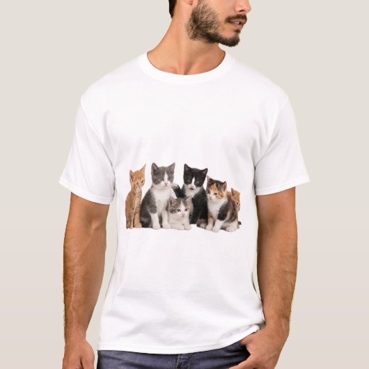 かわいいもふもふの子猫グループ透明PNGステッカー Tシャツ (正面)