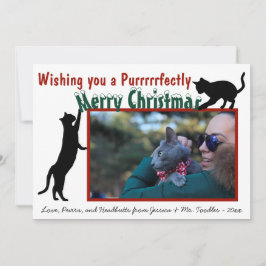 かわいいよくはしゃぐおもしろい猫メリークリスマス写真 シーズンカード