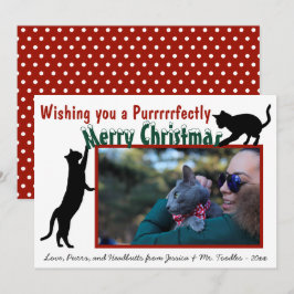 かわいいよくはしゃぐおもしろい猫メリークリスマス写真 シーズンカード