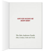 かわいいよくはしゃぐクリスマス猫 (内側 (右))