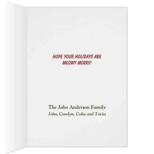 かわいいよくはしゃぐクリスマス猫 (内側 (右))