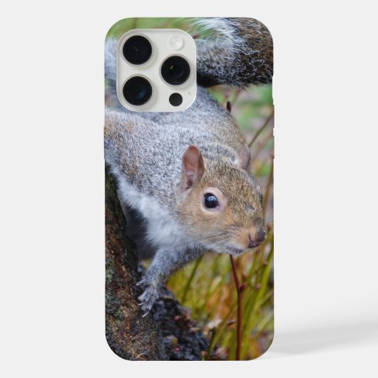 かわいいりすのスマホケース iPhoneケース (裏面)