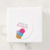 かわいいアイスクリームテーマ誕生日パーティー フェイバータグ (インサイチュ)