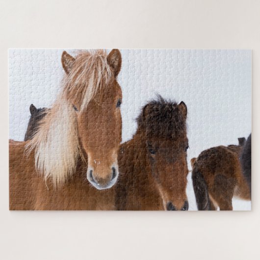 かわいいアイスランドの馬たち ジグソーパズル (横)