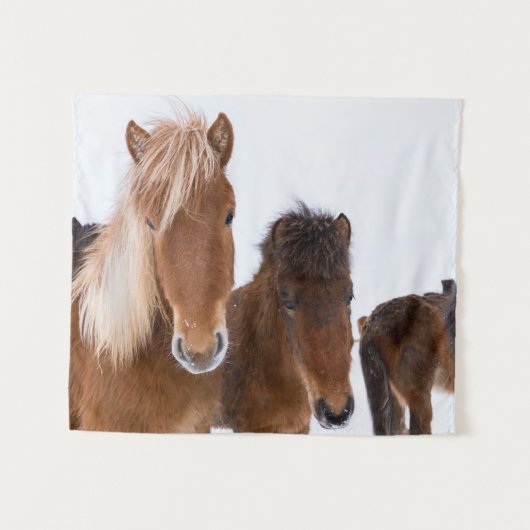 かわいいアイスランドの馬たち タペストリー (正面(横))