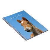 かわいいアイスランドの馬の子馬の頭（正面） – 名前 –  ノートブック (右側)