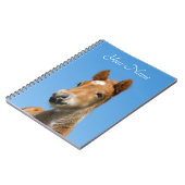 かわいいアイスランドの馬の子馬の頭（正面） – 名前 –  ノートブック (左側)