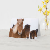 かわいいアイスランドの馬 カード (黄色い花)