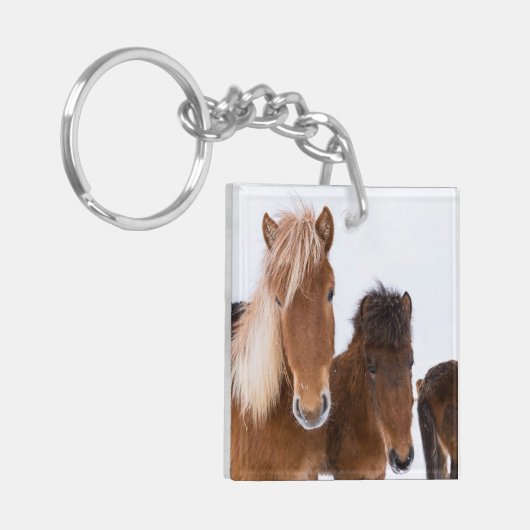 かわいいアイスランドの馬 キーホルダー (正面左)