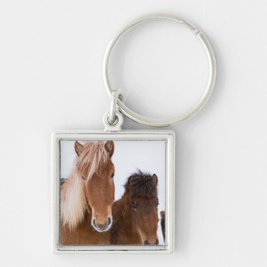 かわいいアイスランドの馬 キーホルダー (正面)