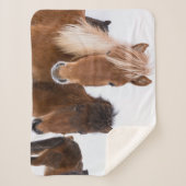 かわいいアイスランドの馬 シェルパブランケット (正面)
