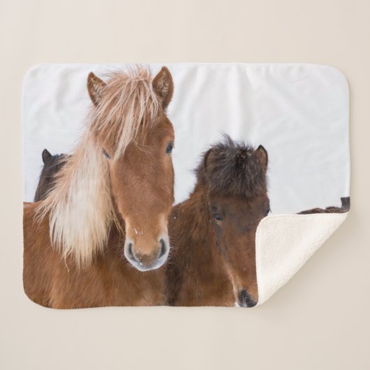かわいいアイスランドの馬 シェルパブランケット (正面(横))