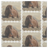 かわいいアイスランドの馬 ファブリック (見本)