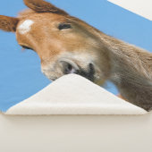 かわいいアイスランド馬の足ポニー頭の前写真… シェルパブランケット (3/4)