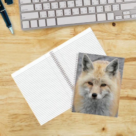 かわいいアカギツネの写真 ノートブック