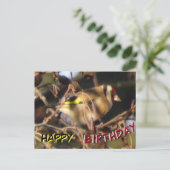 かわいいアカハラドリのクローズアップ ハッピーバースデー ポストカード (スタンド正面)