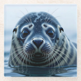 かわいいアザラシのアップ ガラスコースター