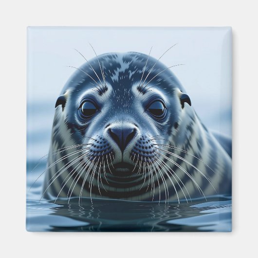 かわいいアザラシのアップ マグネット (正面)