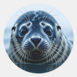 かわいいアザラシのアップ ラウンドシール