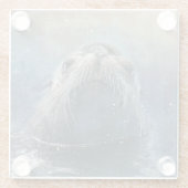 かわいいアシカの顔ウォータカラー野生動物 ガラスコースター (裏面)