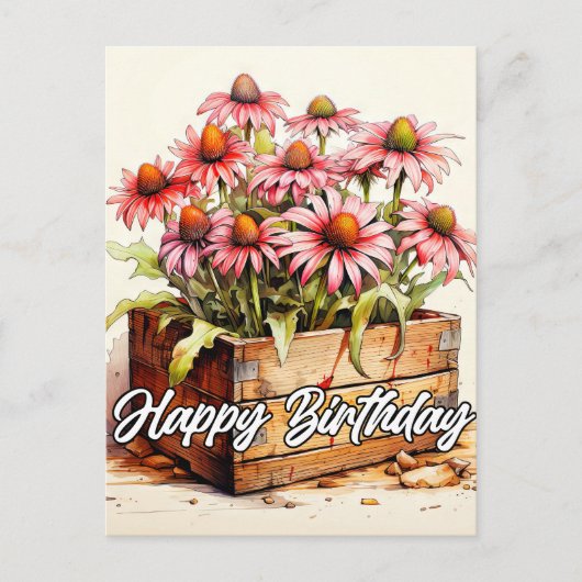 かわいいアスターの花 ポストカード (正面)