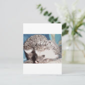 かわいいアナグマ2頭 ポストカード (スタンド正面)