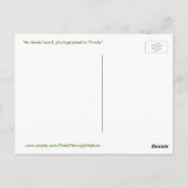 かわいいアノールリザードポストカード ポストカード (裏面)