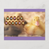 かわいいアヒルからのハッピーイースターのご挨拶 シーズンポストカード (正面)