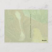 かわいいアヒルのシック&フォール葉書 ポストカード (裏面)