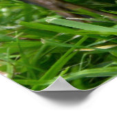 かわいいアヒルのポスター ポスター (角)