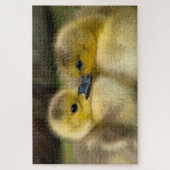 かわいいアヒルの写真 ジグソーパズル (縦)