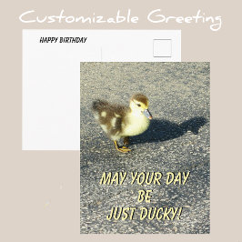 かわいいアヒルの子 ハッピーバースデー 野生動物の写真 ポストカード
