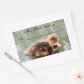 かわいいアヒルの本ラベル 長方形シール (封筒)