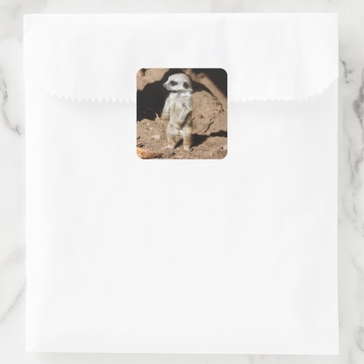 かわいいアフリカのメルカット動物 スクエアシール (バッグ)