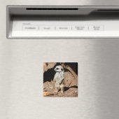 かわいいアフリカのメルカット動物 マグネット (インサイチュ (食洗機))