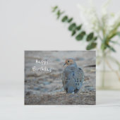 かわいいアメリカズバメの誕生日ポストカード ポストカード (スタンド正面)